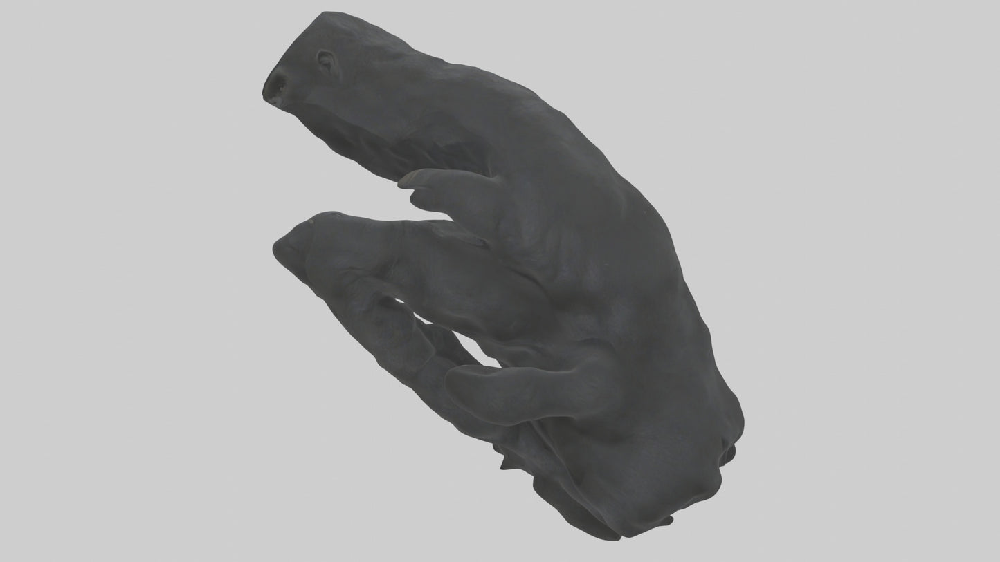3D model Gorilla Arms Model VR / AR / low-poly
