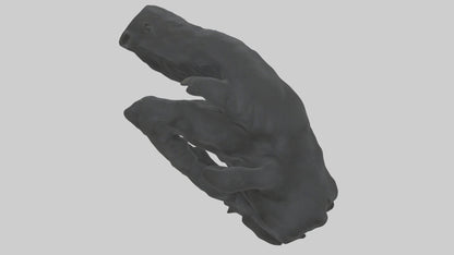 3D model Gorilla Arms Model VR / AR / low-poly
