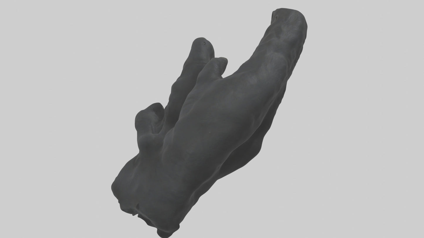 3D model Gorilla Arms Model VR / AR / low-poly