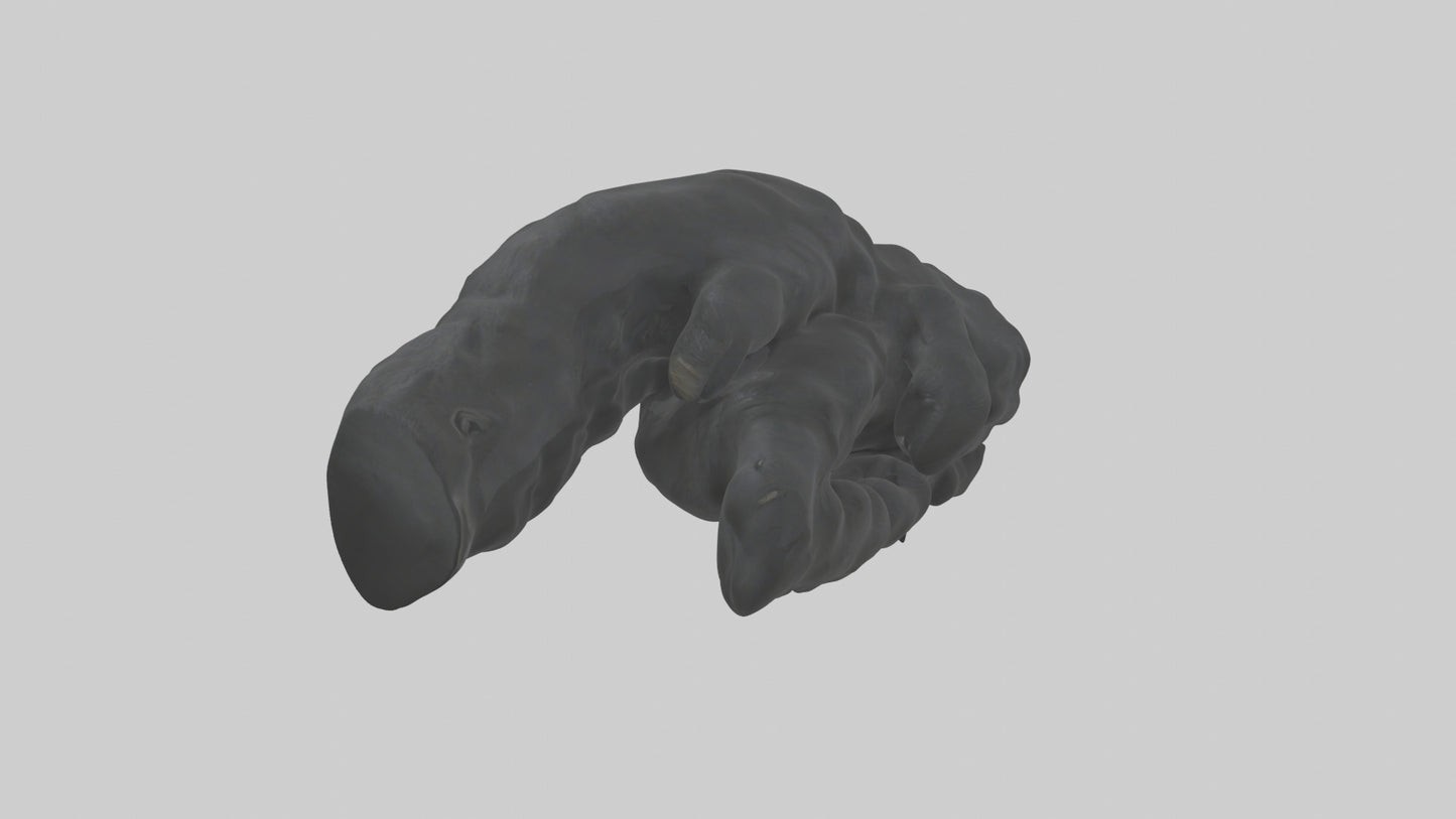 3D model Gorilla Arms Model VR / AR / low-poly