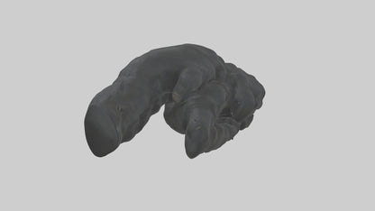 3D model Gorilla Arms Model VR / AR / low-poly