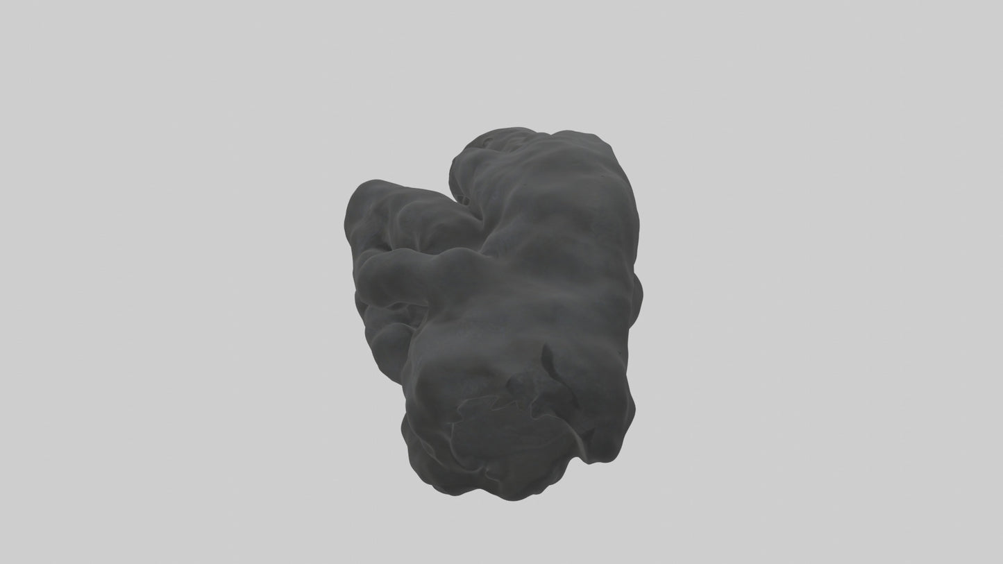 3D model Gorilla Arms Model VR / AR / low-poly