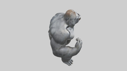 3D model Gorilla beating chest model VR / AR / low-poly