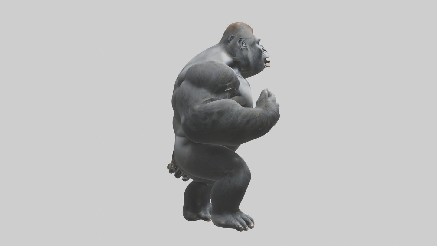 3D model Gorilla beating chest model VR / AR / low-poly