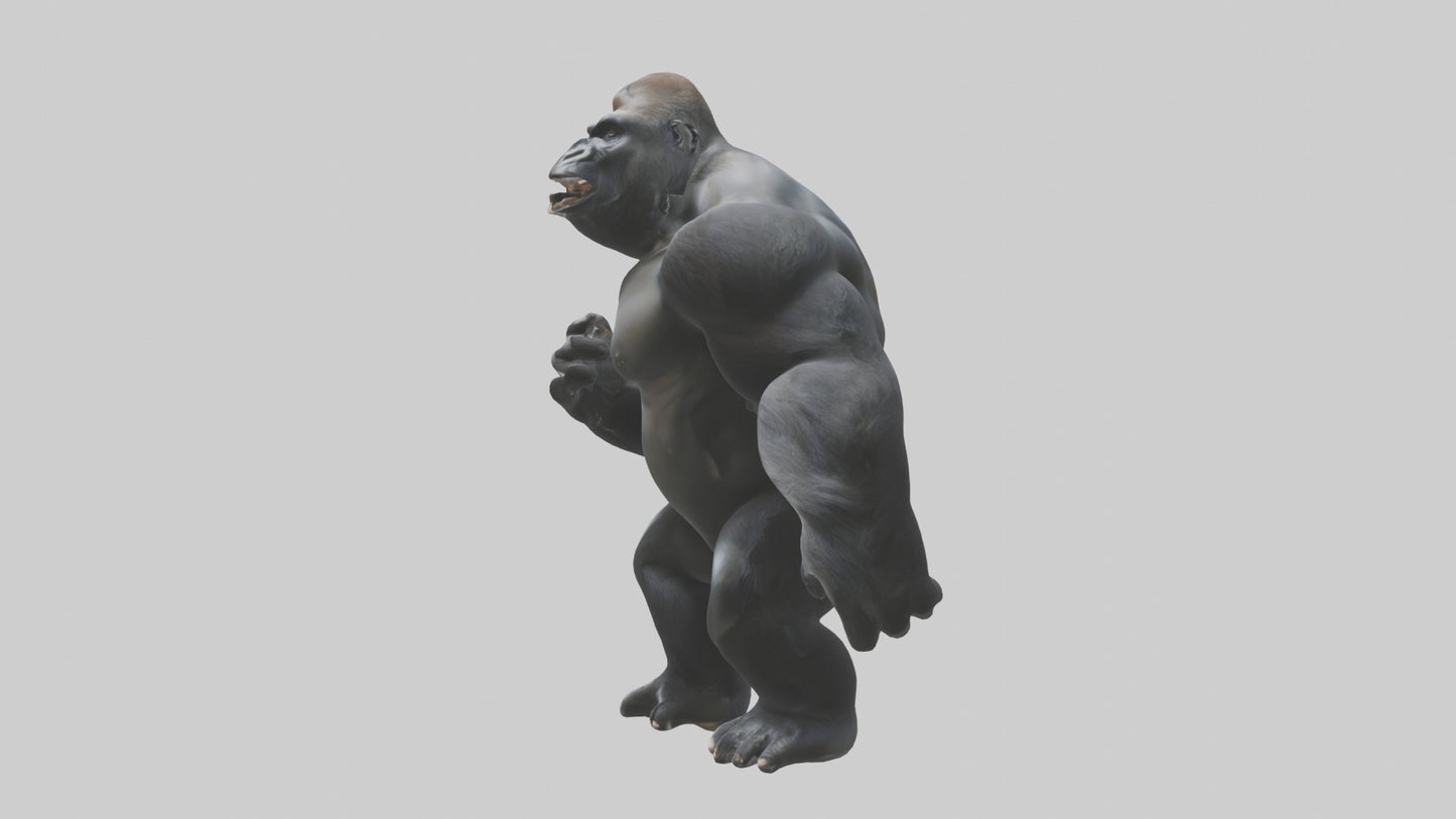 3D model Gorilla beating chest model VR / AR / low-poly