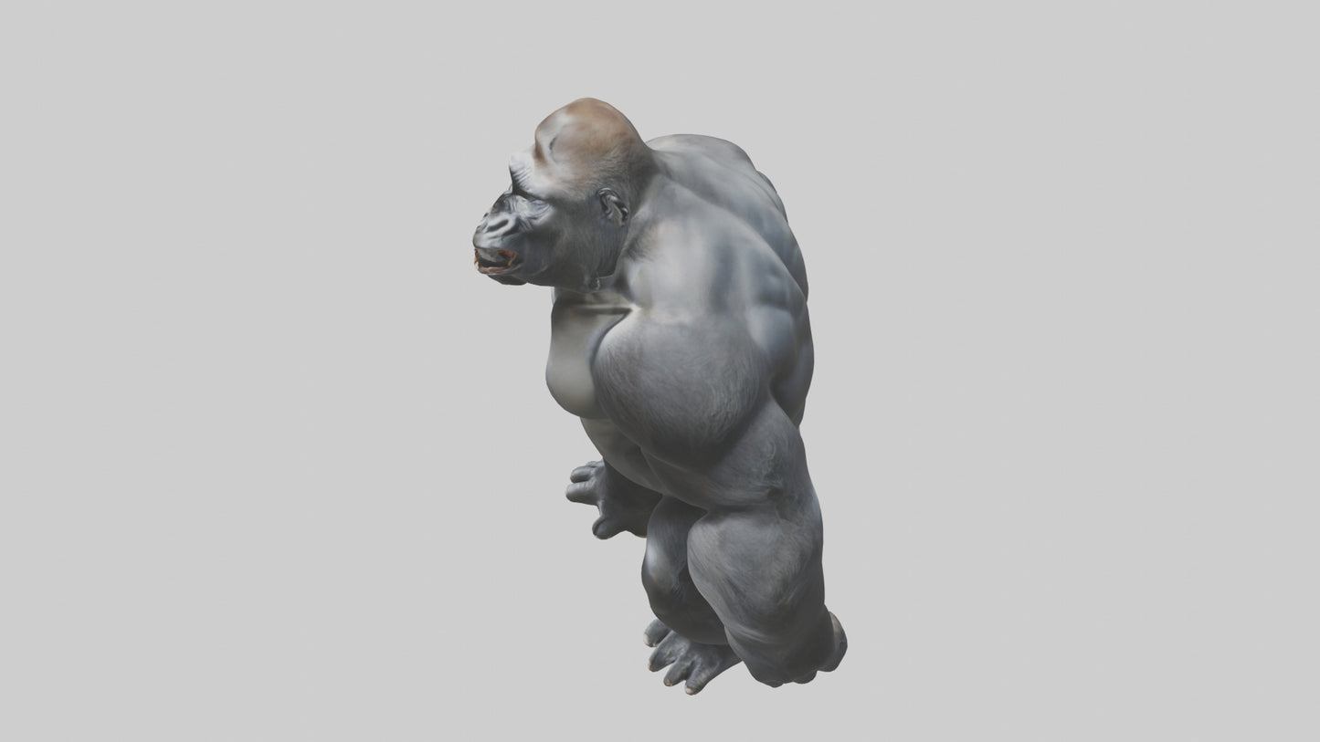 3D model Gorilla beating chest model VR / AR / low-poly