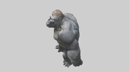 3D model Gorilla beating chest model VR / AR / low-poly