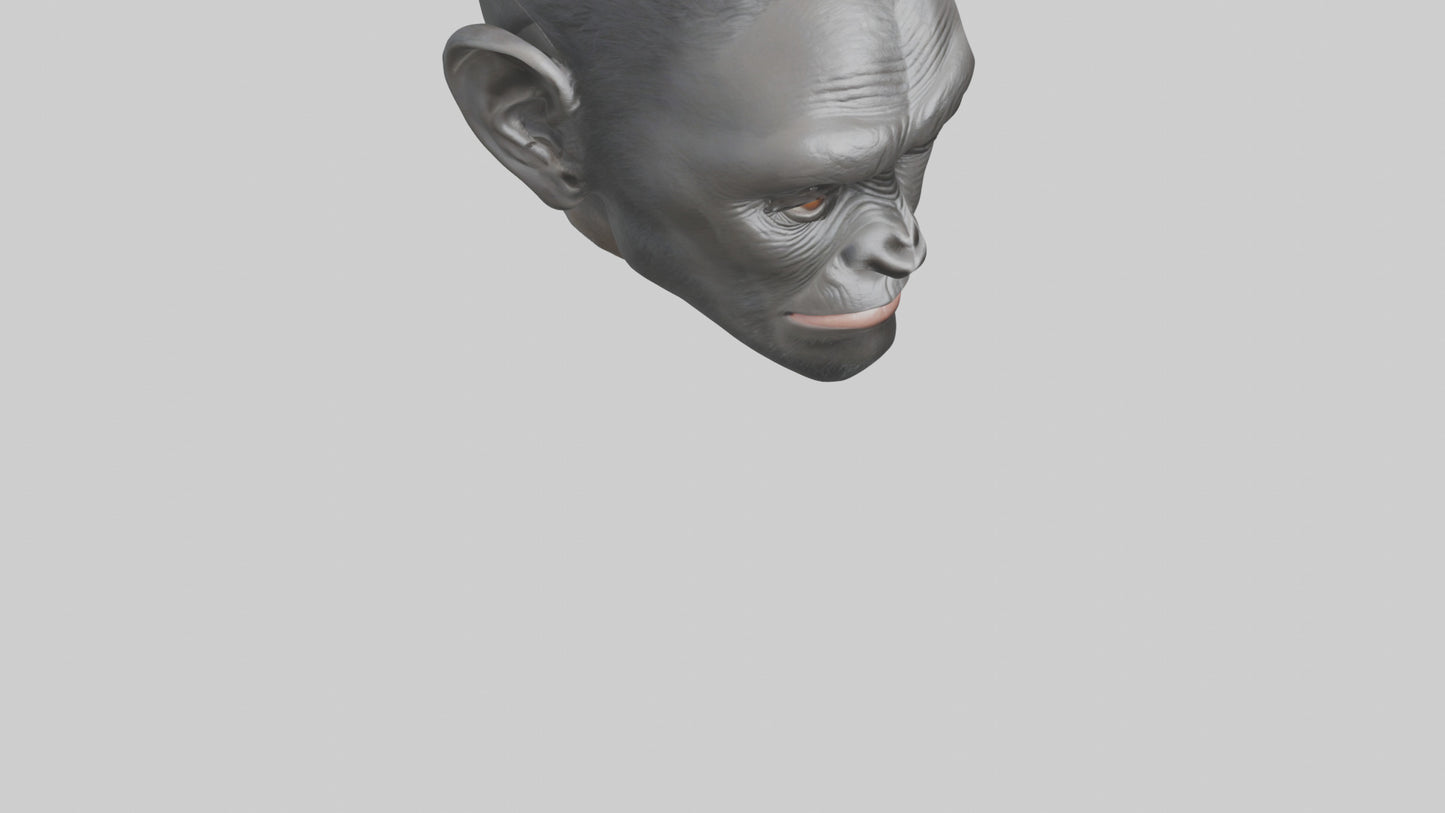 3D model Gorilla Ears Model VR / AR / low-poly