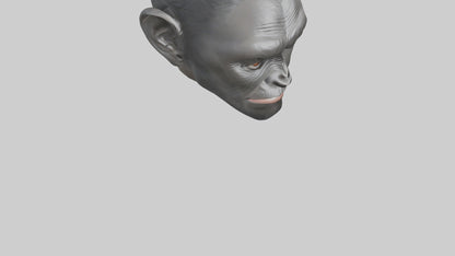 3D model Gorilla Ears Model VR / AR / low-poly