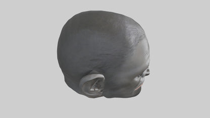 3D model Gorilla Ears Model VR / AR / low-poly