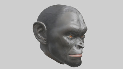 3D model Gorilla Ears Model VR / AR / low-poly