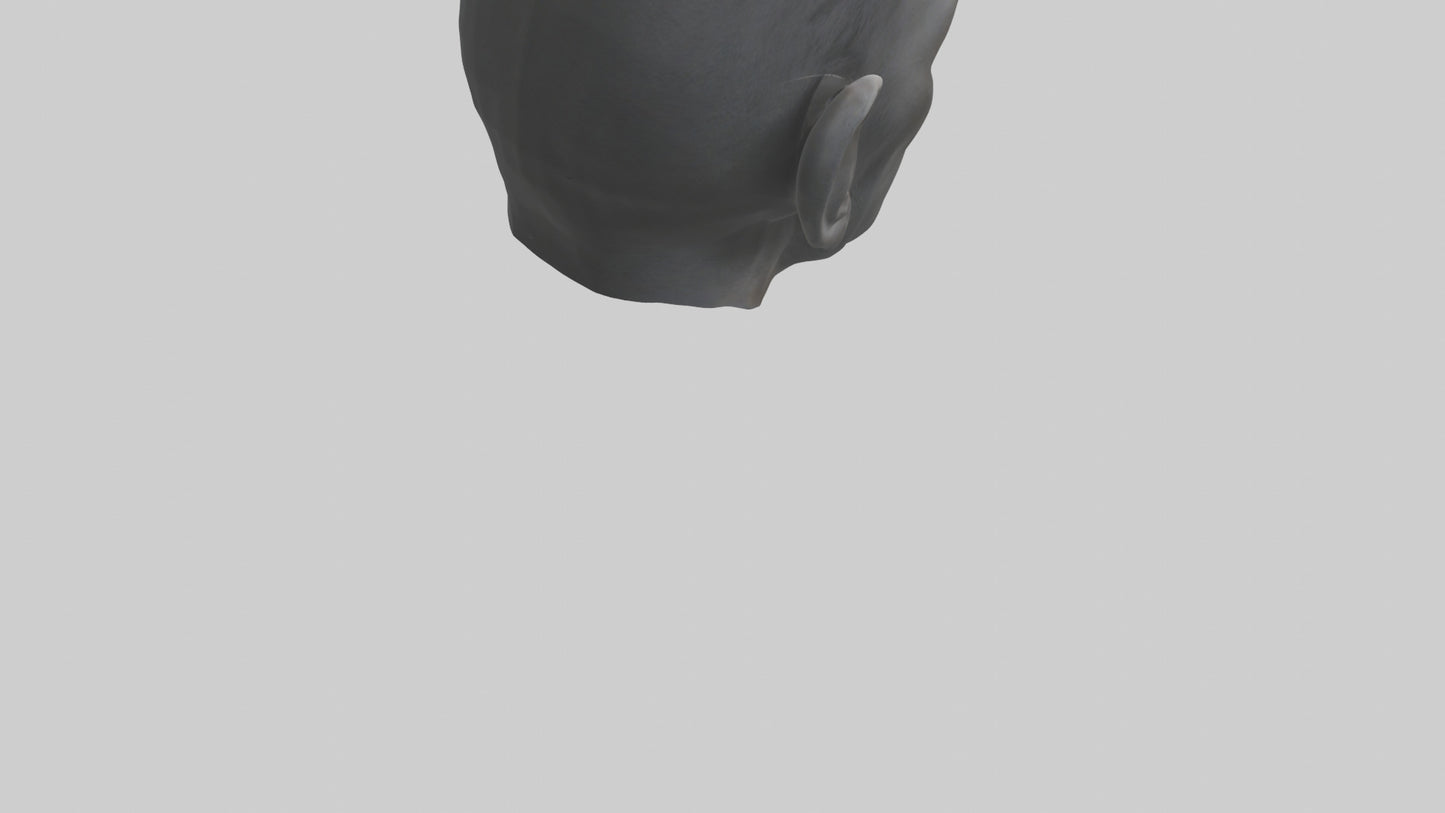 3D model Gorilla Ears Model VR / AR / low-poly