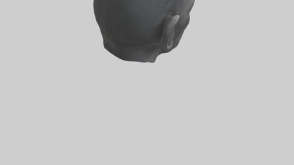 3D model Gorilla Ears Model VR / AR / low-poly