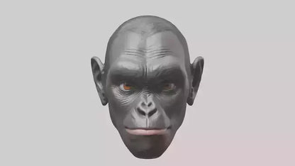 3D model Gorilla Ears Model VR / AR / low-poly