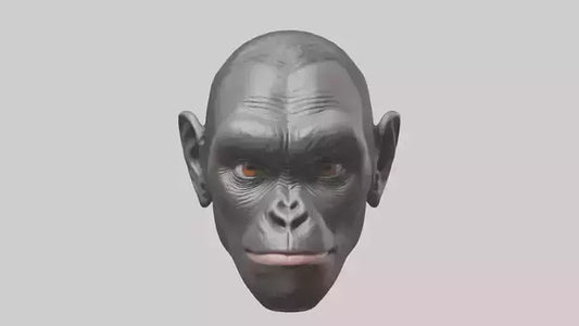 3D model Gorilla Ears Model VR / AR / low-poly