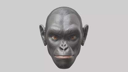 3D model Gorilla Ears Model VR / AR / low-poly