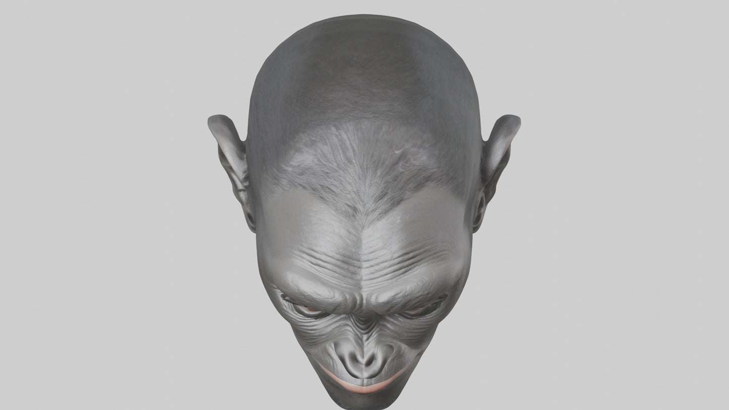 3D model Gorilla Ears Model VR / AR / low-poly