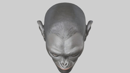 3D model Gorilla Ears Model VR / AR / low-poly