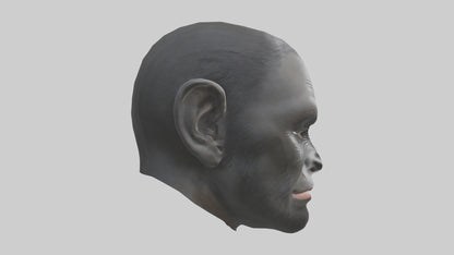 3D model Gorilla Ears Model VR / AR / low-poly