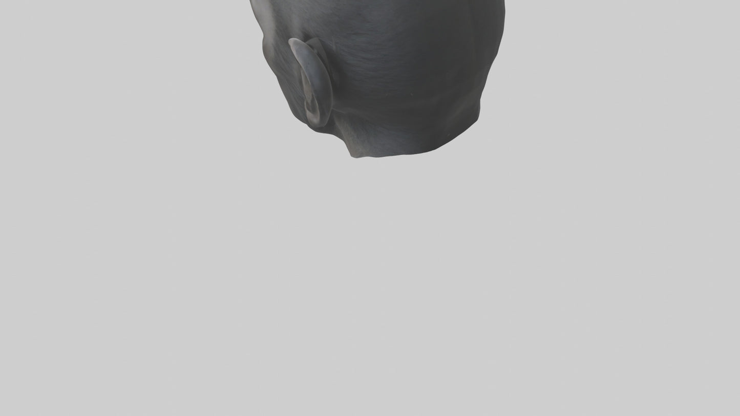 3D model Gorilla Ears Model VR / AR / low-poly