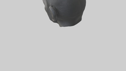 3D model Gorilla Ears Model VR / AR / low-poly