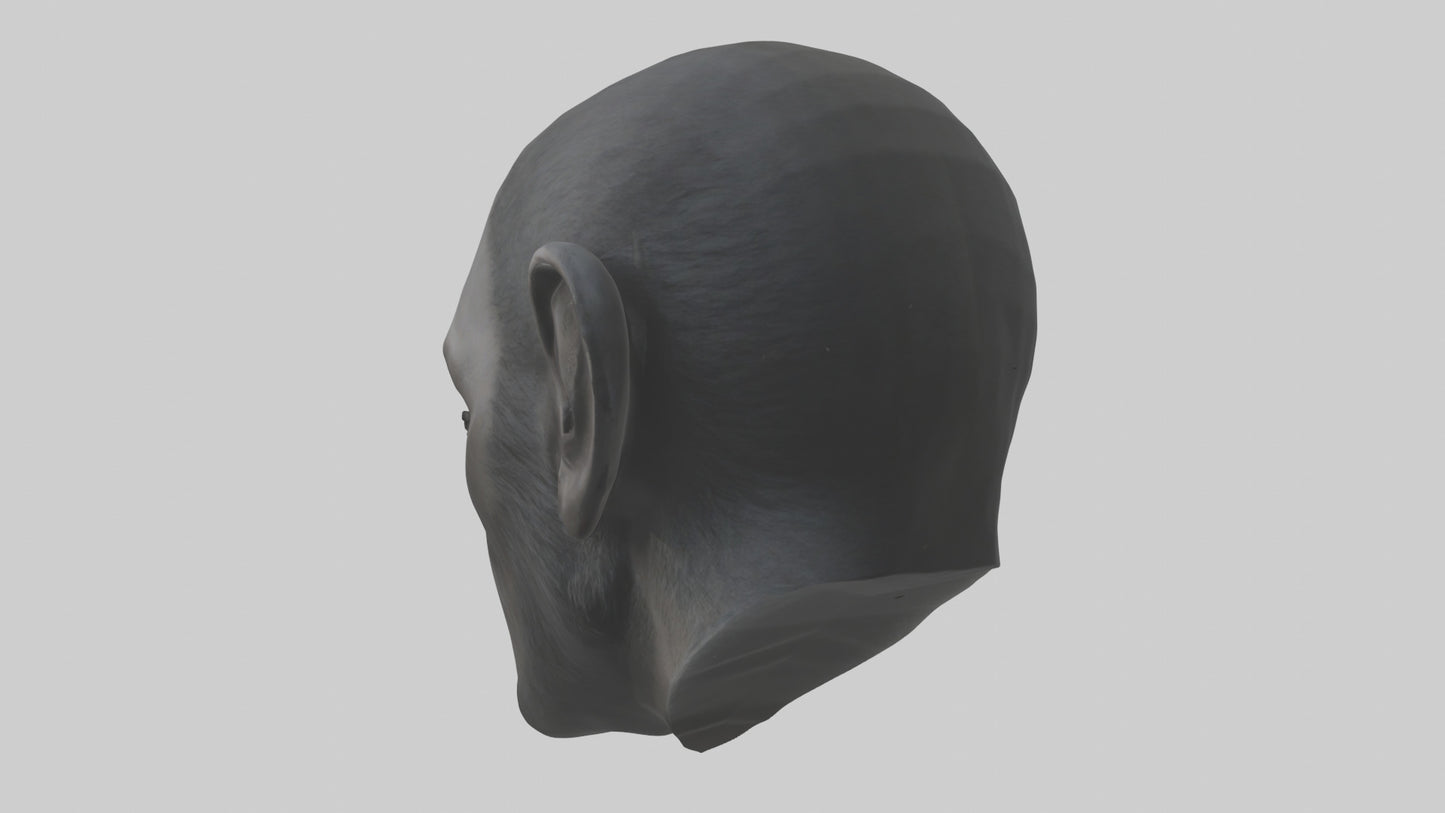 3D model Gorilla Ears Model VR / AR / low-poly