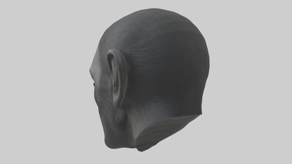 3D model Gorilla Ears Model VR / AR / low-poly