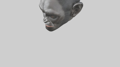3D model Gorilla Ears Model VR / AR / low-poly