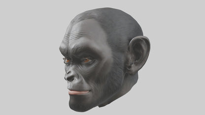 3D model Gorilla Ears Model VR / AR / low-poly