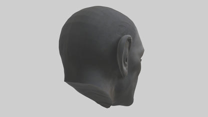 3D model Gorilla Ears Model VR / AR / low-poly