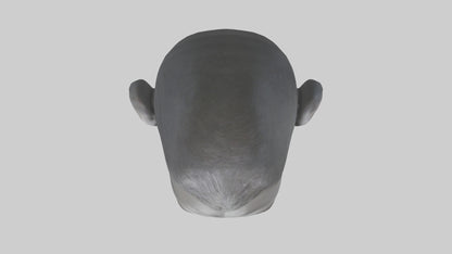 3D model Gorilla Ears Model VR / AR / low-poly