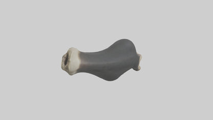 Gorilla Femur 3D model