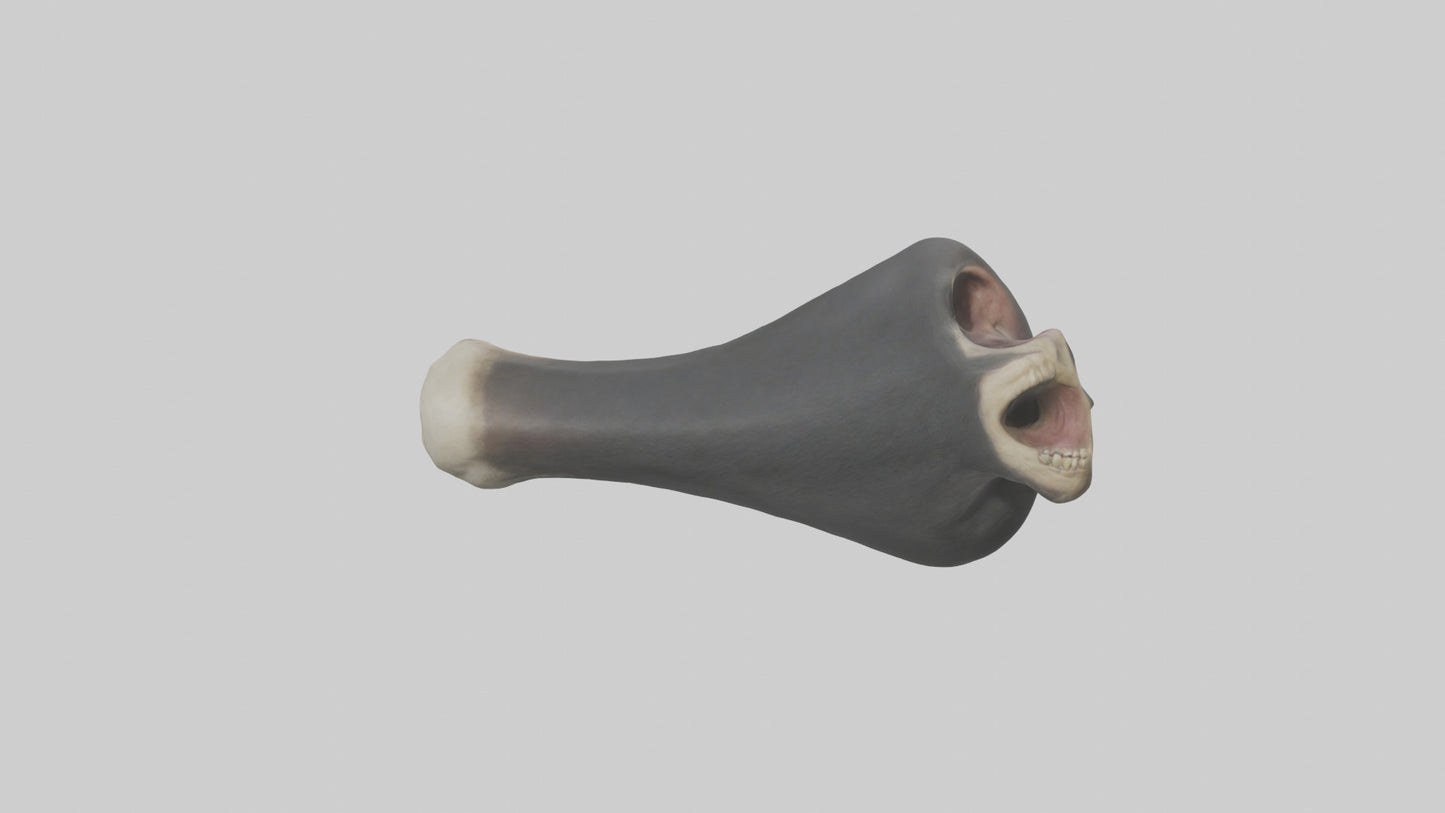 Gorilla Femur 3D model