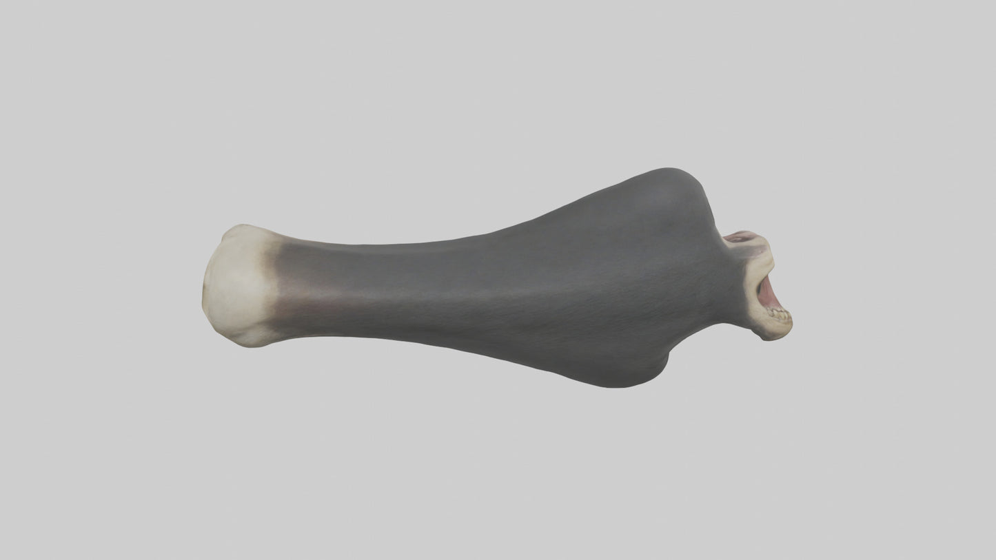 Gorilla Femur 3D model