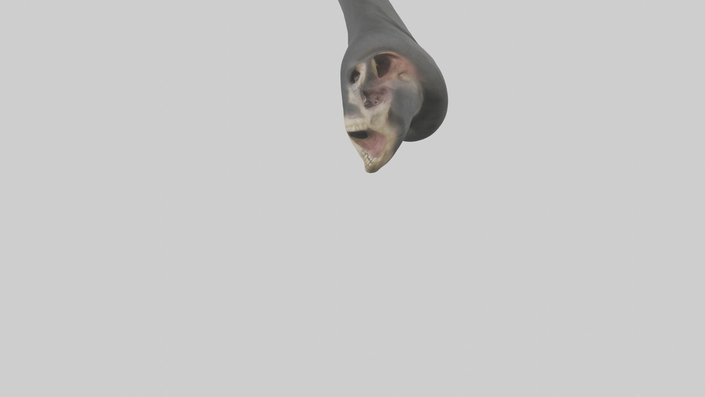 Gorilla Femur 3D model