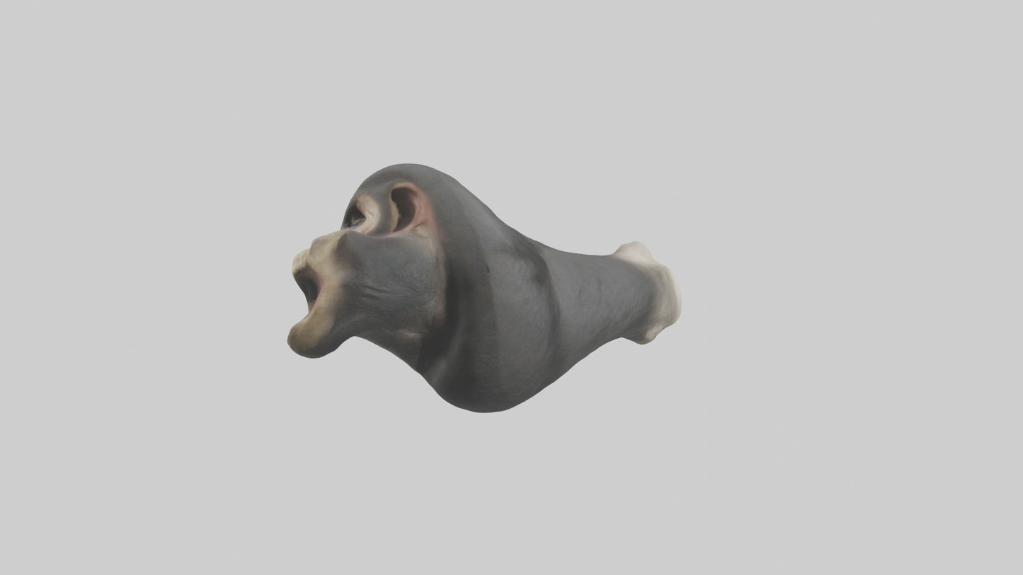 Gorilla Femur 3D model