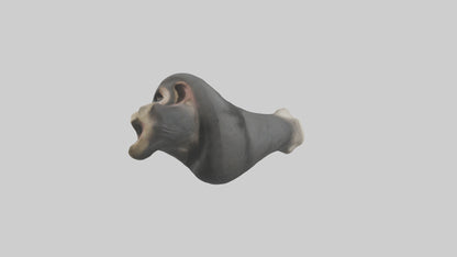 Gorilla Femur 3D model