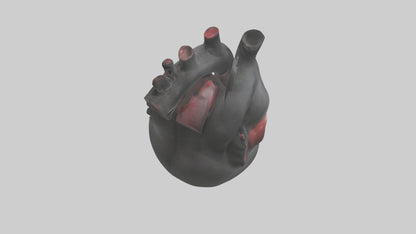 3D model Gorilla Heart VR / AR / low-poly