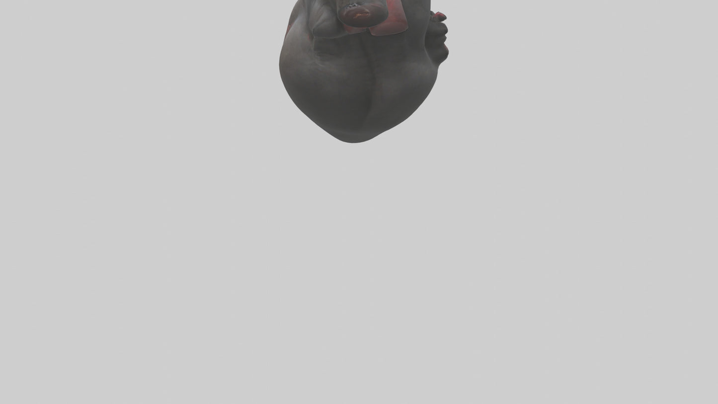 3D model Gorilla Heart VR / AR / low-poly