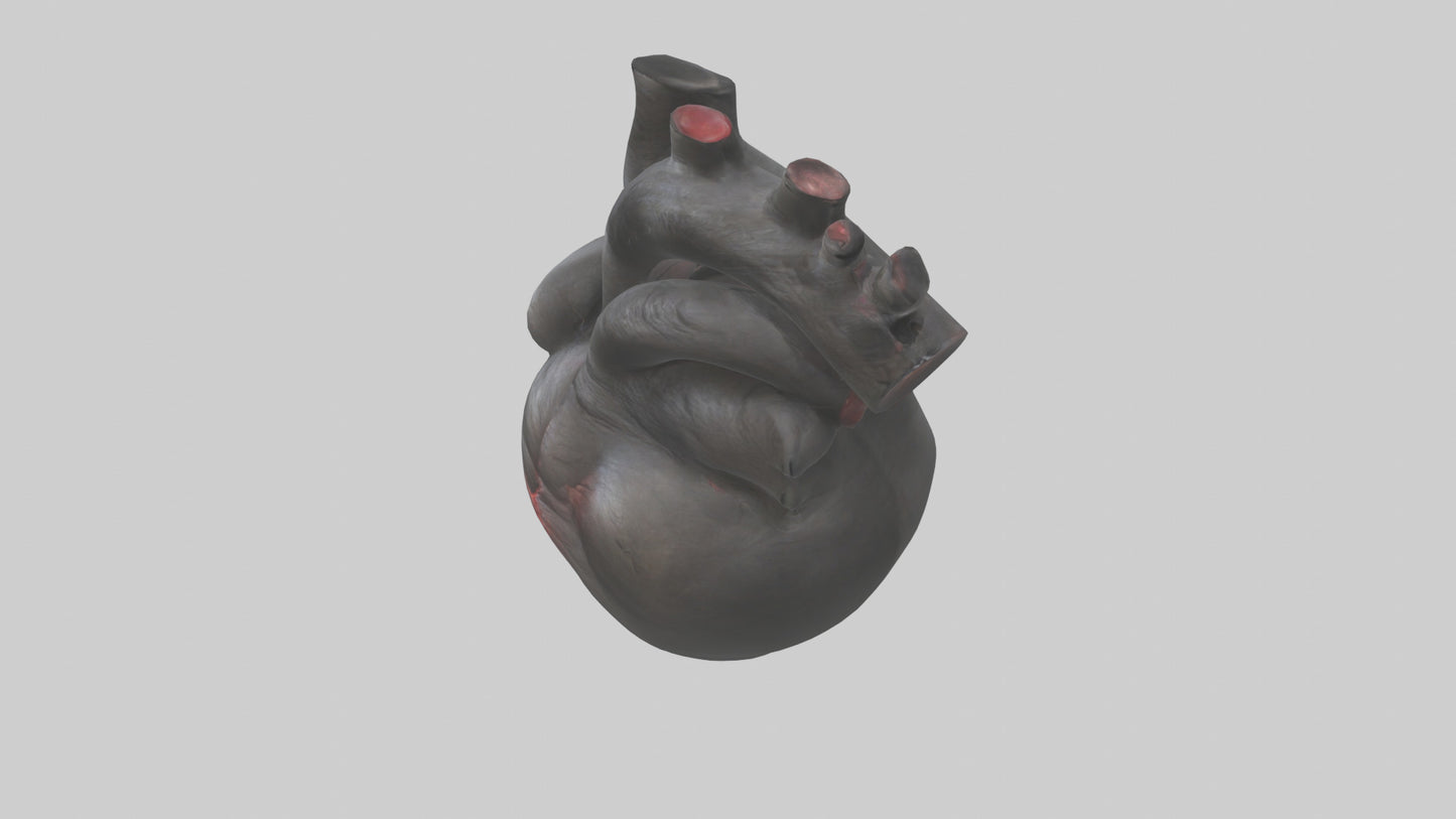 3D model Gorilla Heart VR / AR / low-poly
