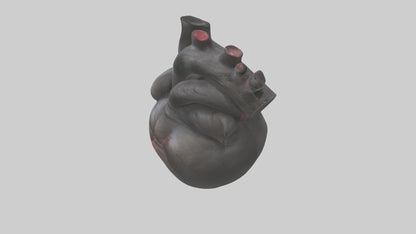 3D model Gorilla Heart VR / AR / low-poly