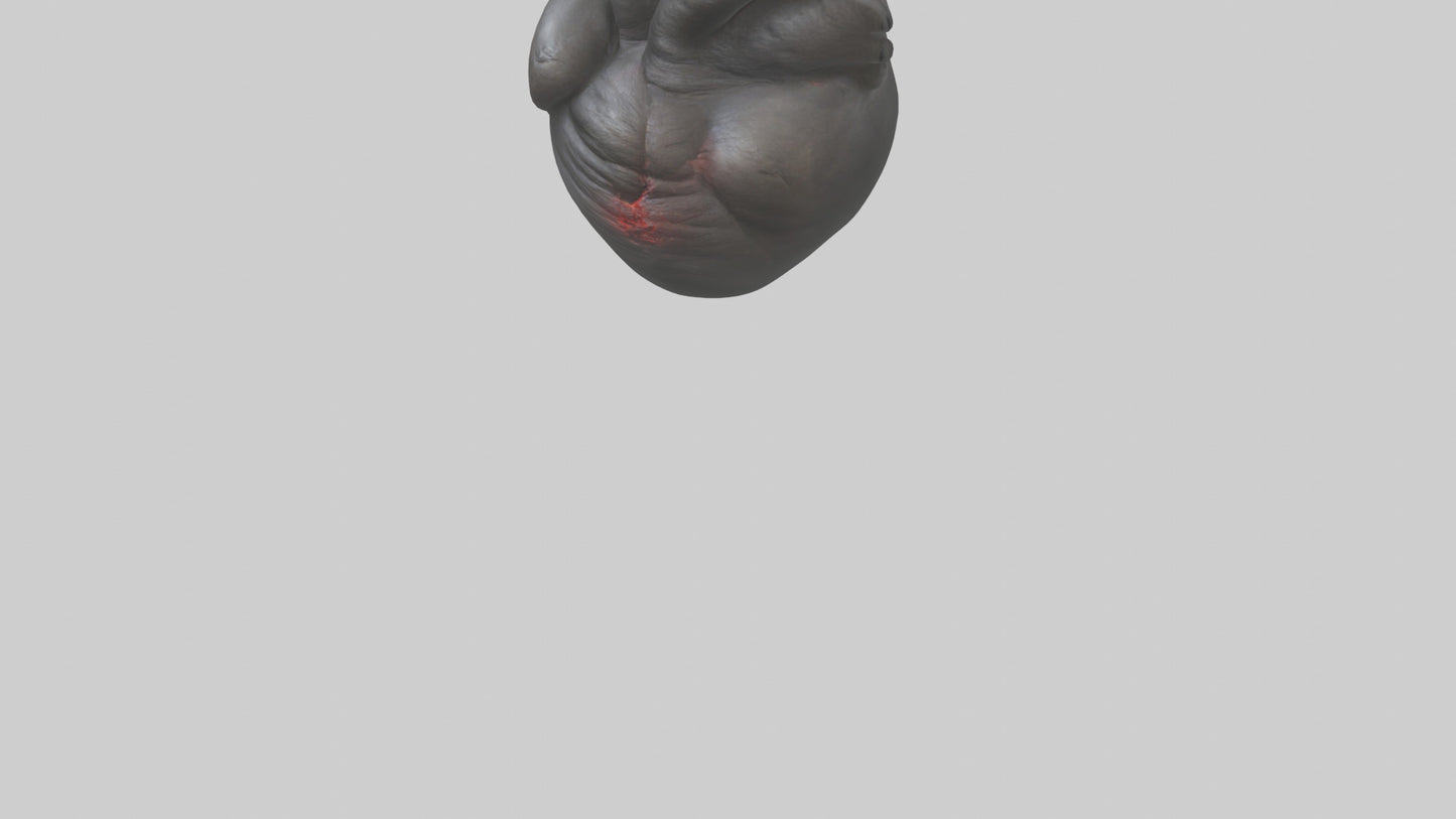 3D model Gorilla Heart VR / AR / low-poly