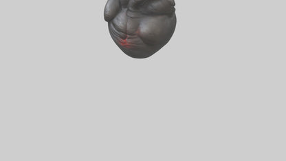 3D model Gorilla Heart VR / AR / low-poly