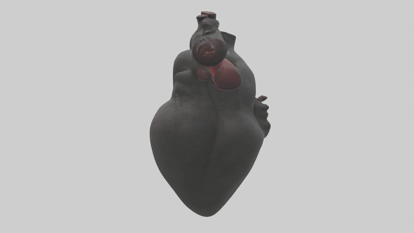 3D model Gorilla Heart VR / AR / low-poly