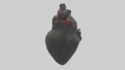 3D model Gorilla Heart VR / AR / low-poly