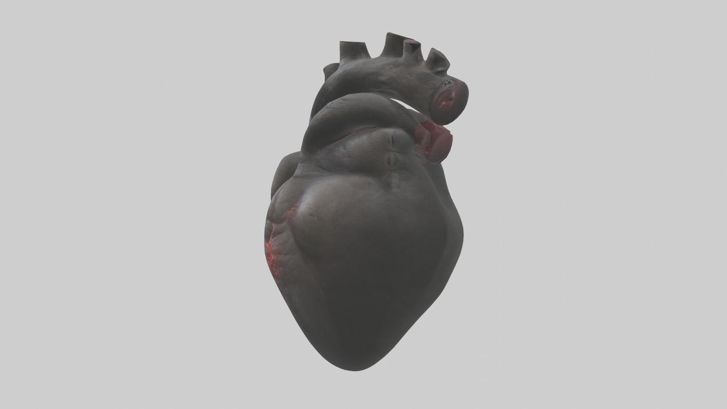 3D model Gorilla Heart VR / AR / low-poly