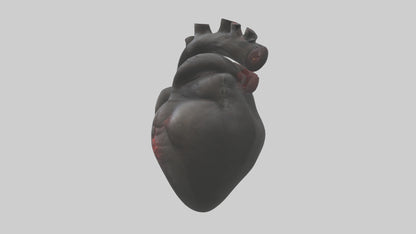 3D model Gorilla Heart VR / AR / low-poly