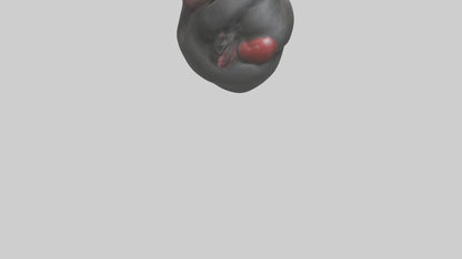 3D model Gorilla Heart VR / AR / low-poly