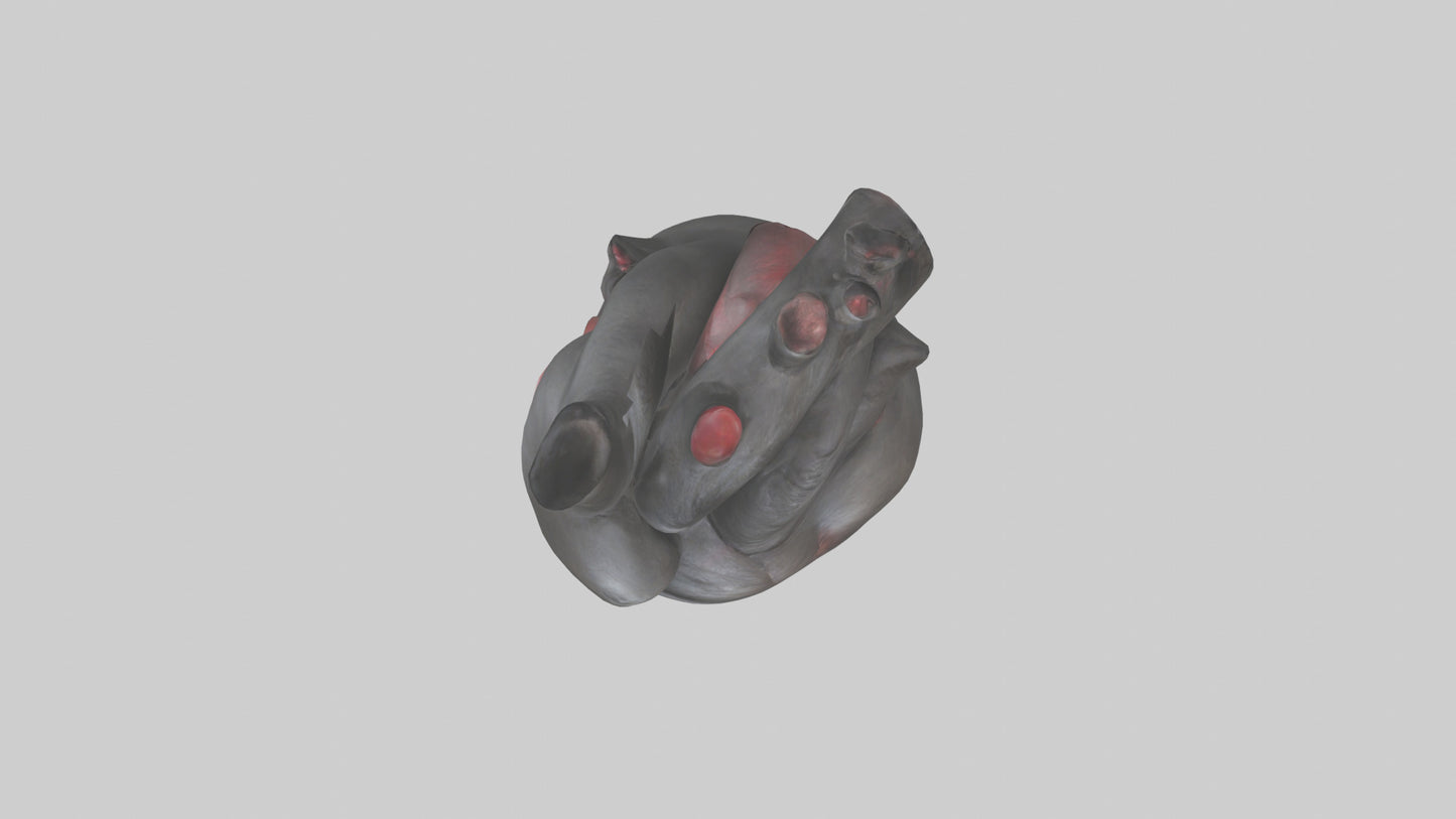 3D model Gorilla Heart VR / AR / low-poly