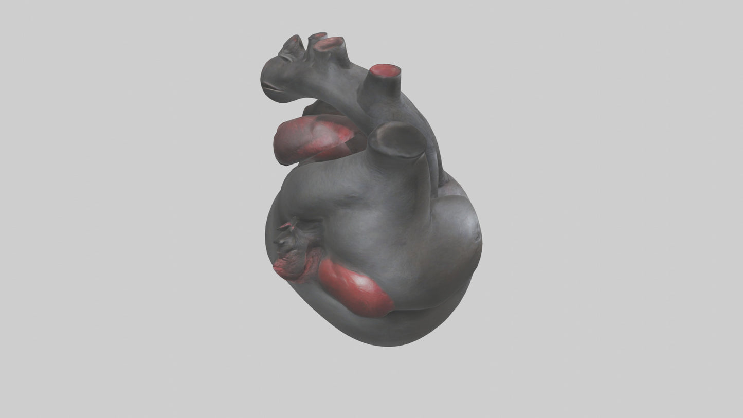 3D model Gorilla Heart VR / AR / low-poly